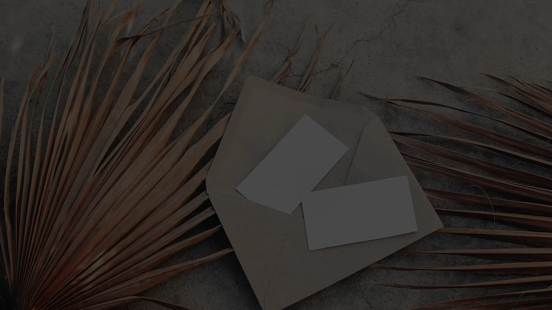 Bienvenue a la maison des faire part